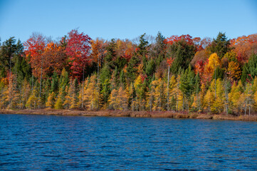 Fall colors on a pond during autumn in Perry Sound Ontario
