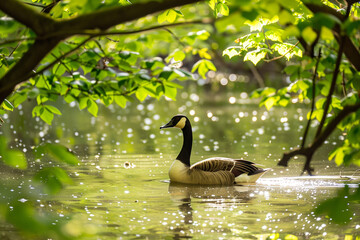 Goose wading through a shimmering river framed by vibrant spring foliage - obrazy, fototapety, plakaty