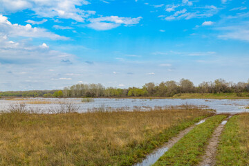 Flooded area near the Dnieper River in spring