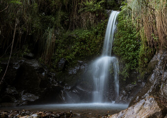 waterfall in the forest