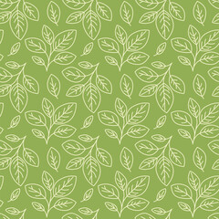 Hand drawn floral pattern vector design. Simple ornament with plant and leaf.