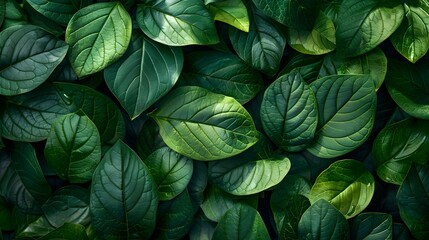 lush green foliage texture, showcasing detailed leaves and vibrant colors