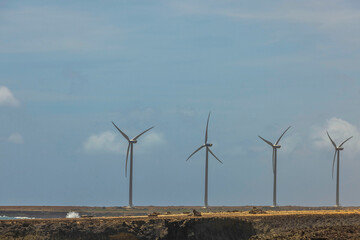Sight of wind turbines in the desert along the Caribbean coast under a blue sky on Aruba Island.