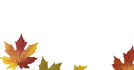 Autumn leaves frame with copy space on a transparent background