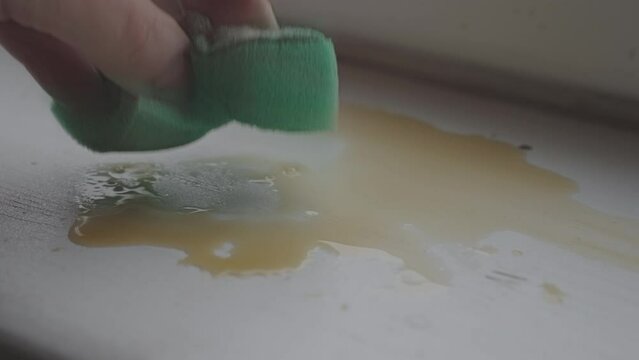 Hand holding green sponge sponging off spilled coffee on white wooden table top or windowsill. Stain is visible and being zoned away with dirty liquid.