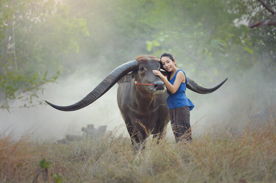 Portrait of a woman standing in a field stroking a water buffalo, Thailand