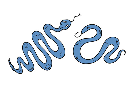 Mystic blue snakes silhouette. Snake wrapped around. Boho modern hand drawn design elements for logo and branding.
