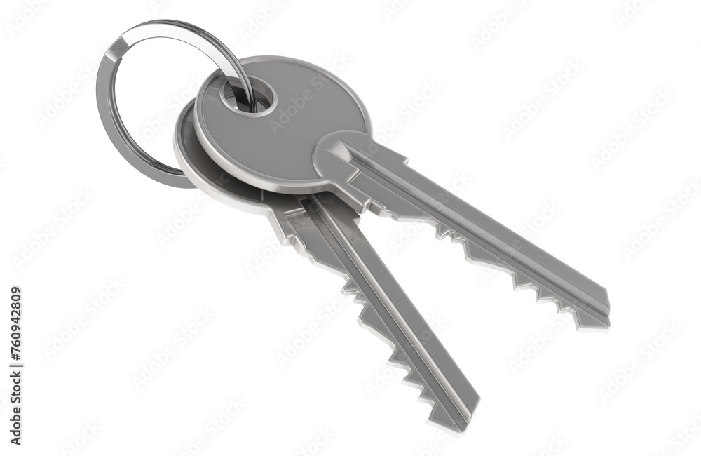 Poster keys on a keyring, 3d rendering isolated on transparent background