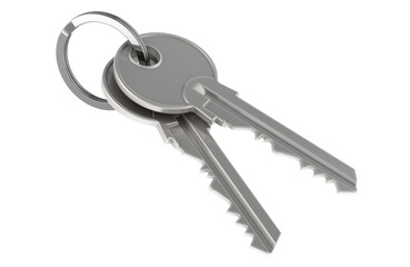 Keys on a keyring, 3D rendering isolated on transparent background