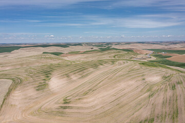 The Idaho and Washington Palouse landscape