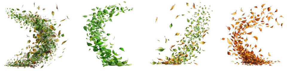 Whirlwind lifting leaves into the air. Hyperrealistic Highly Detailed Isolated On Transparent Background Png File