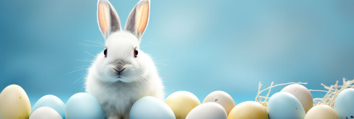 white rabbit with a lot of colored eggs on blue light background. banner