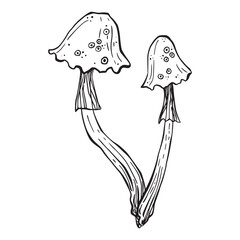 Set of magic poisonous mushrooms. Tattoo fungus design, trendy romance symbol. Witch amanita mushrooms for Halloween. Vector sketch toadstool illustration