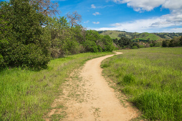 trail road on Montgomery Hill, San Jose
