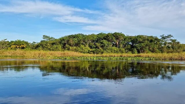 Canoe tour on the Pantanal Marimbus, waters of many rivers and abundant vegetation, in Andarai, Bahia, Brazil in the Chapada Diamantina