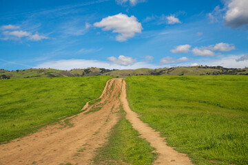 trail on Montgomery Hill, San Jose