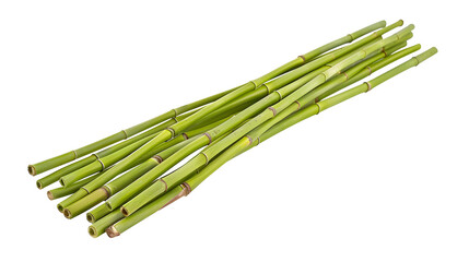 Green bamboo sticks, set sharp stake isolated on white, side view