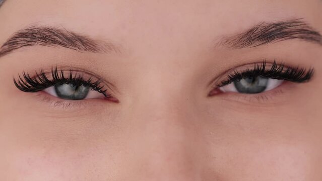 Close up portrait of female eyes after eyelash extension procedure. Young girl open eyes with fake eyelashes. Eyelashes extensions close up.