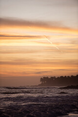 Vacation on Bali immersed in nature, sea and monkeys