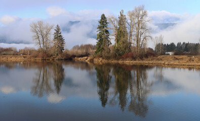 Reflections of trees on a cloudy winter morning
