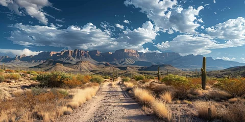 Gardinen scenic landscape of the arizona in USA © toomi123