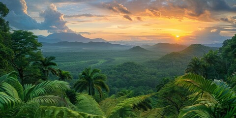landscape of Tropical North Queensland in Australia