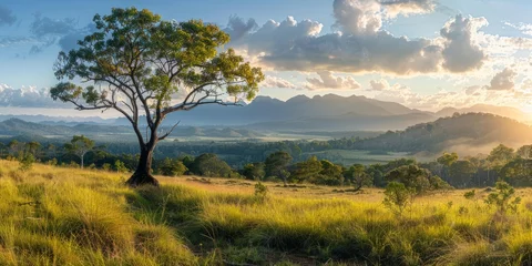 Rolgordijnen landscape of Tropical North Queensland in Australia © toomi123