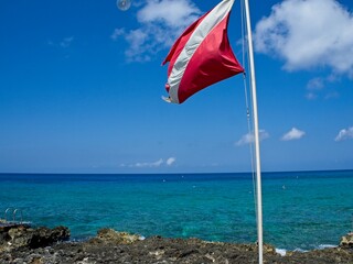 Fototapeta premium Divers swim in the turquoise waters off of George Town, Cayman Islands