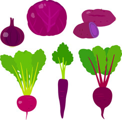 紫色の野菜のイラストセット - 760994240