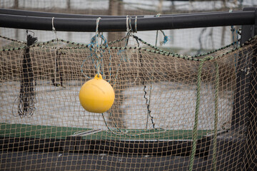 Yellow float hanging off the side of salmon fish farming pens - 760995005