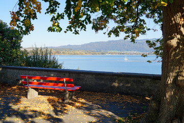 a red bench under alarge tree on Lindau island facing lake Constance (Bodensee) and the Swiss Alps 