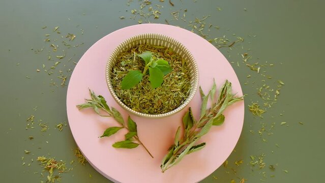 Stevia sweetener.Fresh and crushed stevia leaves in a round green cup on a pink podium on a green background.Vegetable sweetener. Stevia extract.Stevia plant. 4k footage