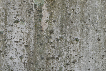 Metal with fungus growing on it