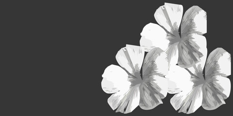 Wild flowers drawing and sketch with line-art on black backgrounds.