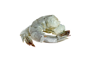Peeled shrimp raw isolated