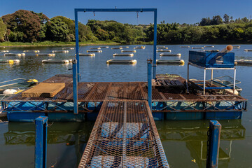 Tanks web used for raising tilapia on a fish farm in Brazil