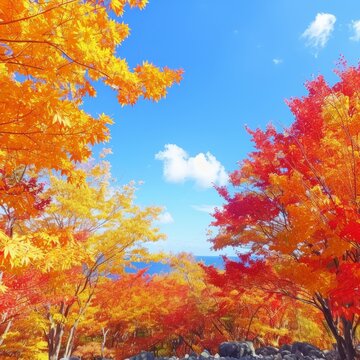 Vibrant autumn colors on trees under a clear sky with fluffy clouds and a warm atmosphere