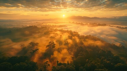 Aerial view of sunrise in the misty forest. Foggy golden sunset in mountains. Flying over green trees valley. Morning mist, country fields, sun rising above the horizon.