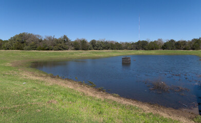 green trees and grass, blue sky and water, a retention pond in January