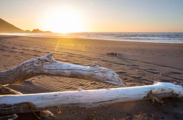 Foto op Plexiglas Chile coast © Galyna Andrushko
