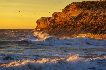Foto op Plexiglas Coast in Argentina © Galyna Andrushko