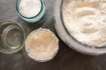 close up of a sourdough starter