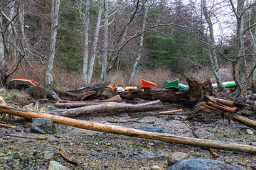 Canoes on the shore