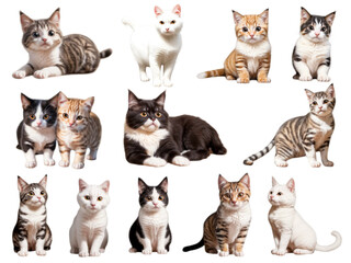 set of cats