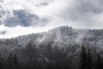 fog in the mountains