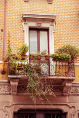 Fototapeta na wymiar landscaping of the balcony. a balcony with plants. Urban gardening landscaping design. decorative patterns for windows. a combination of plants for decorative planters. landscaping of facades.
