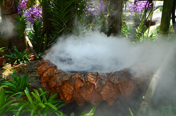 air humidification system in a botanical garden for orchid plants, steam for humidifying the...