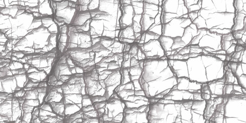 Obraz premium White marble texture with natural pattern for background marble stone surface texture in black and white tone. Old stone wall texture wall. Grunge background for landscape.