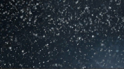 Animated realistic detailed very small snow flakes slowly falling densely against black background. Shallow depth of field. Mask included. generative.ai - obrazy, fototapety, plakaty