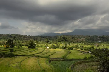 Tuinposter Maha Ganga paddy ricefiled terraces in rural part of Bali island, Karangasem district. © Vladimir